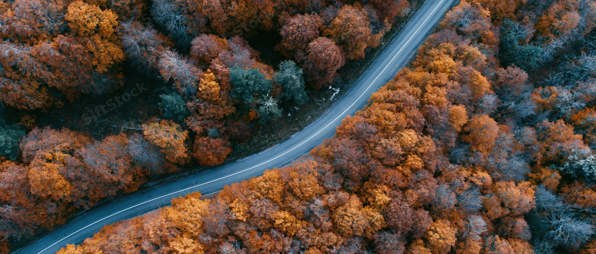 Aerial view of a winding two-lane road cutting through a dense autumn forest