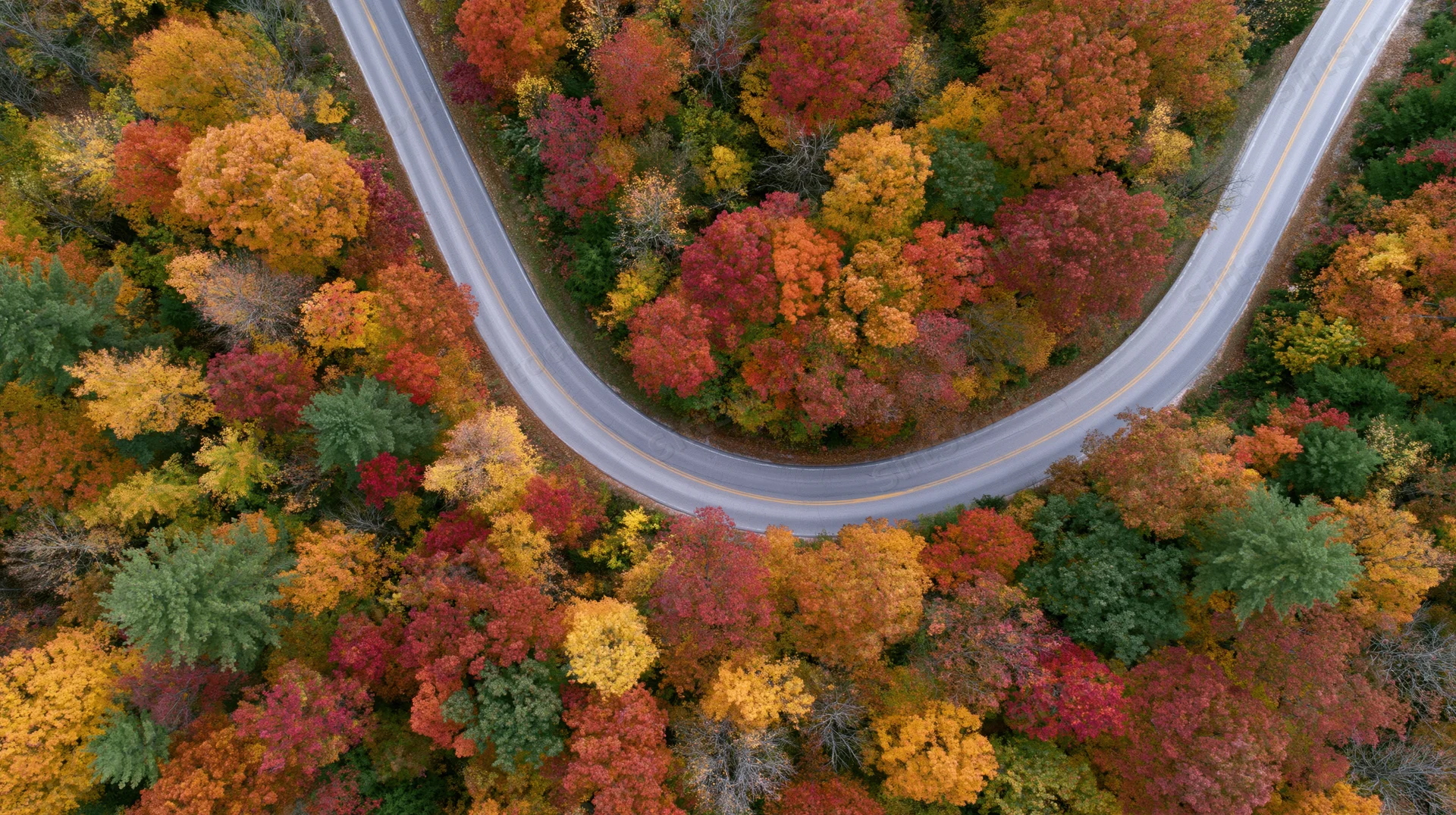 Winding road through colorful autumn forest from aerial top-down view