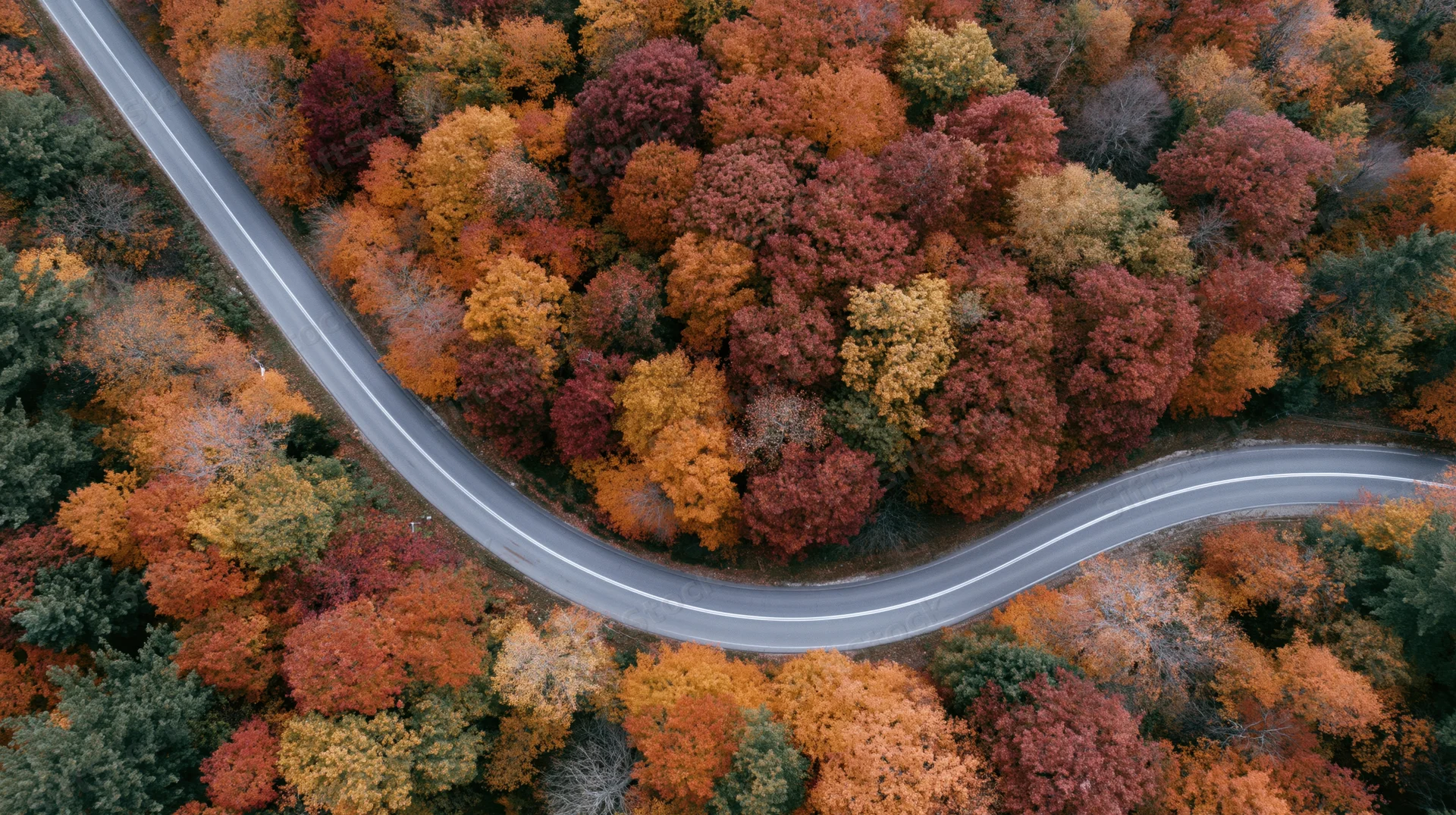 Winding road through autumn forest from aerial view