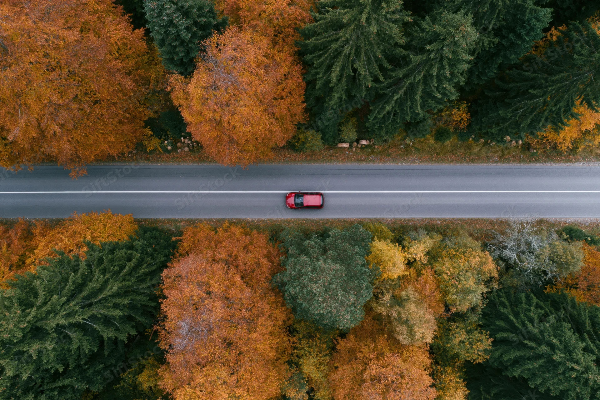 Red car driving along a road through autumn forest from top-down aerial view
