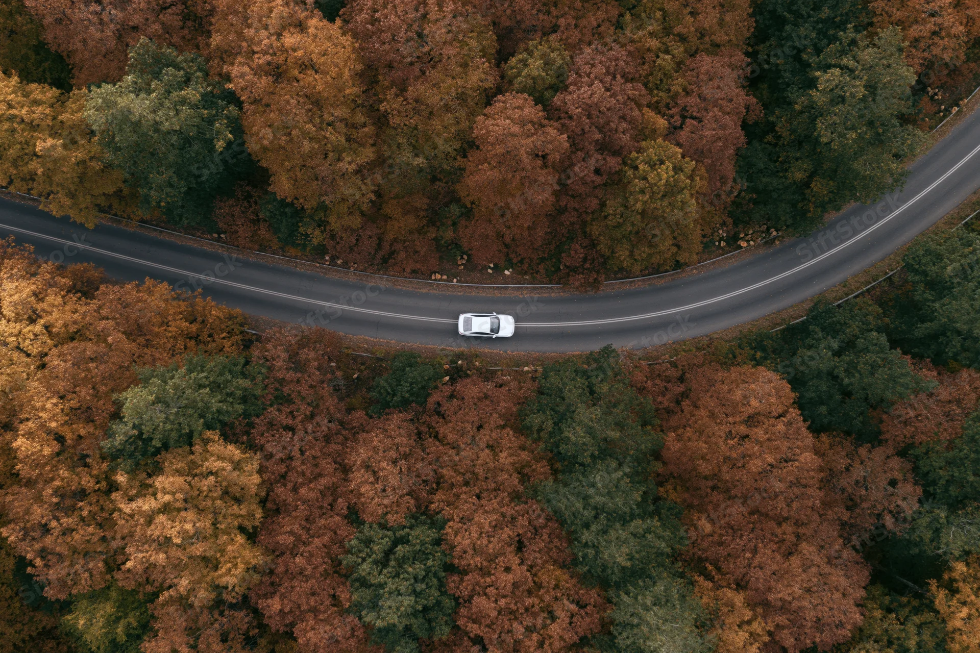 White car driving along winding road through autumn forest from aerial top-down view