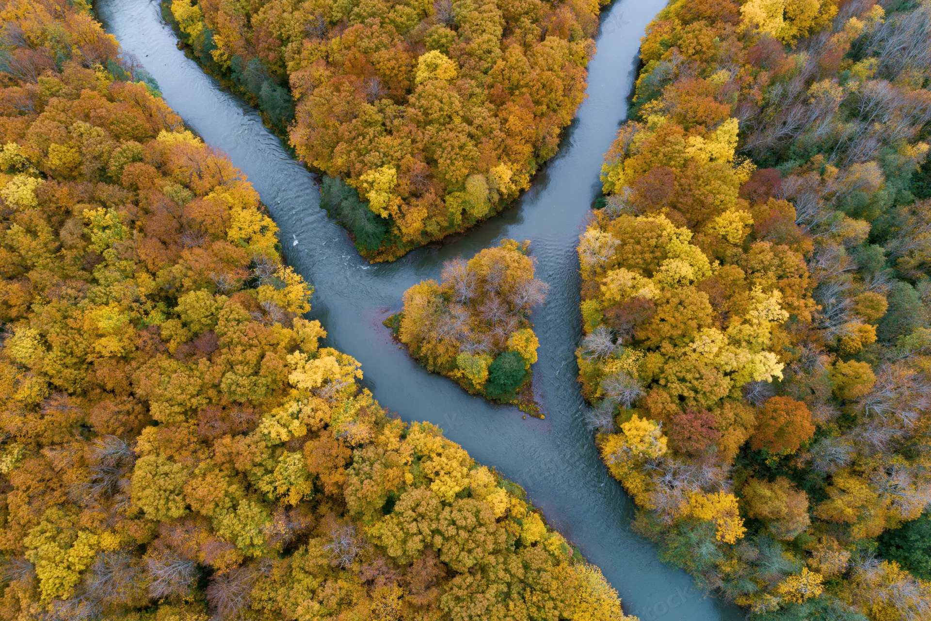 Aerial top-down view of a winding river splitting around an island surrounded by autumn-colored forest