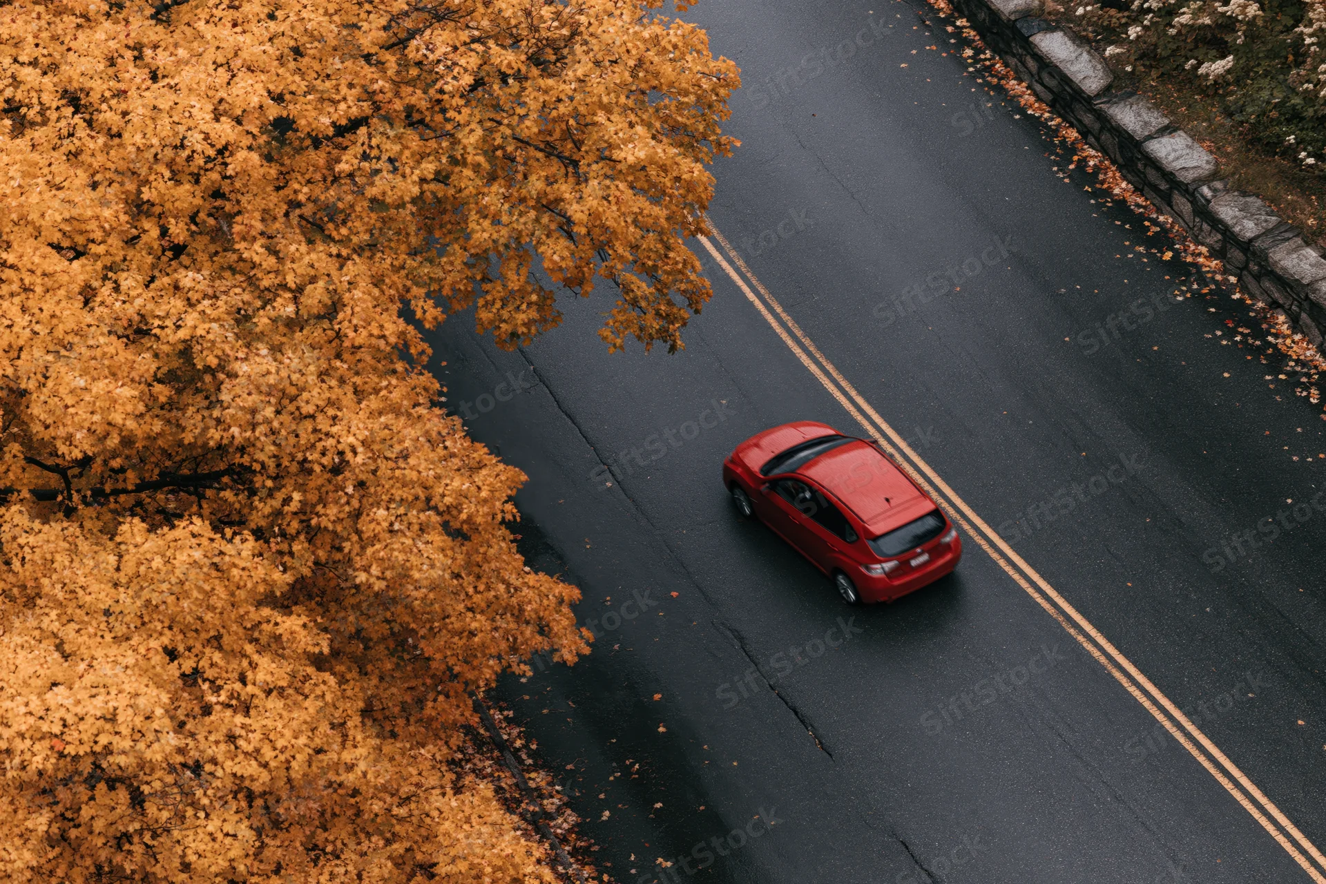 Red compact car driving on wet road lined with autumn trees from overhead view