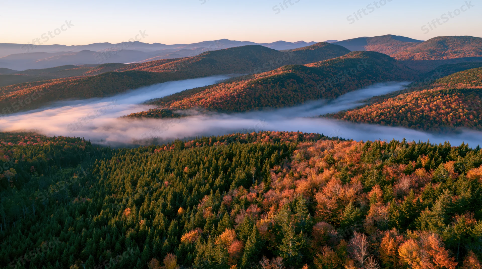 Aerial view of autumn forest valley with mist between rolling hills
