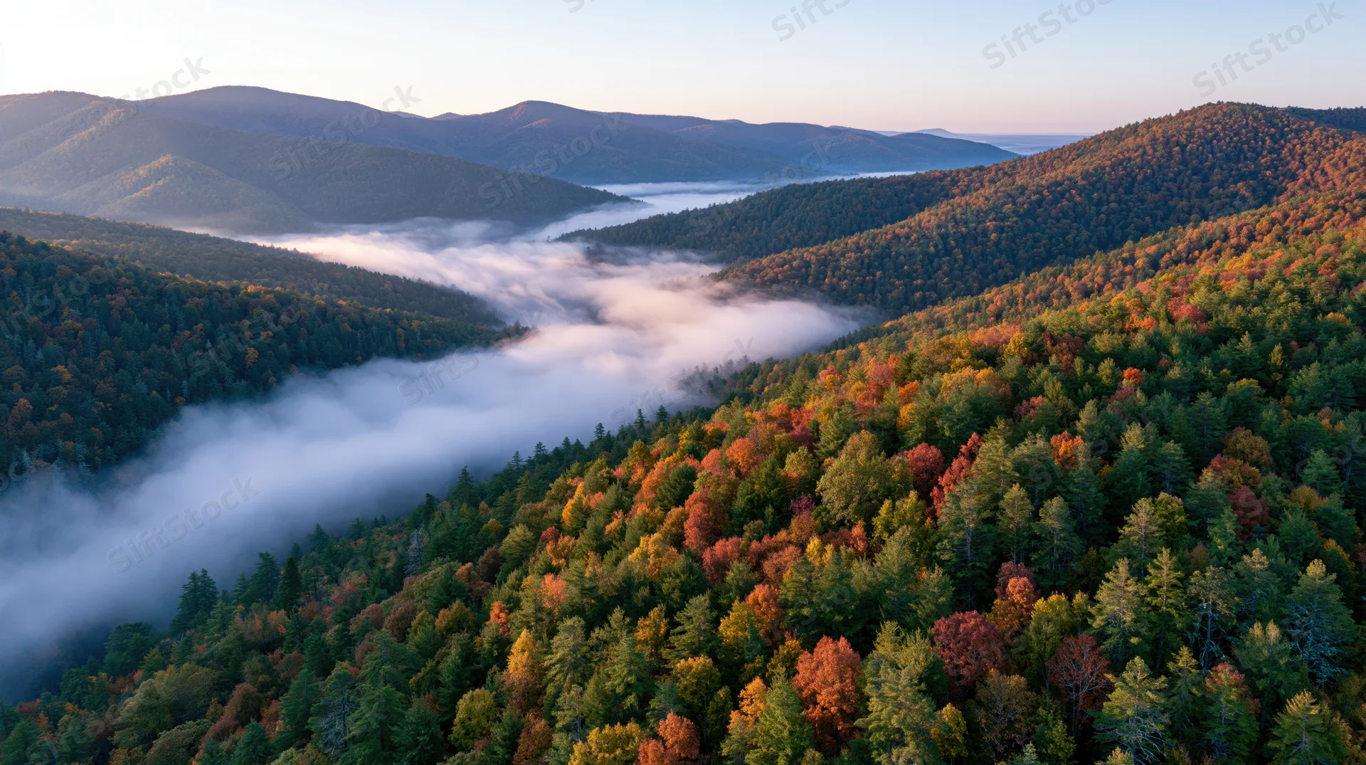 Aerial view of autumn forest valley with fog drifting through mountains at sunrise