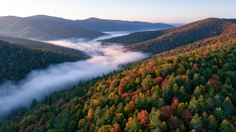 Aerial view of autumn forest valley with fog drifting through mountains at sunrise