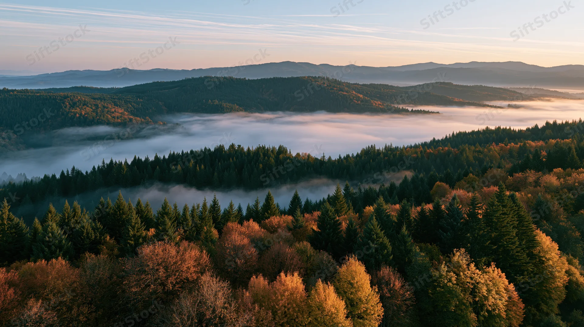 Aerial view of a dense autumn forest valley filled with low-lying mist at sunrise