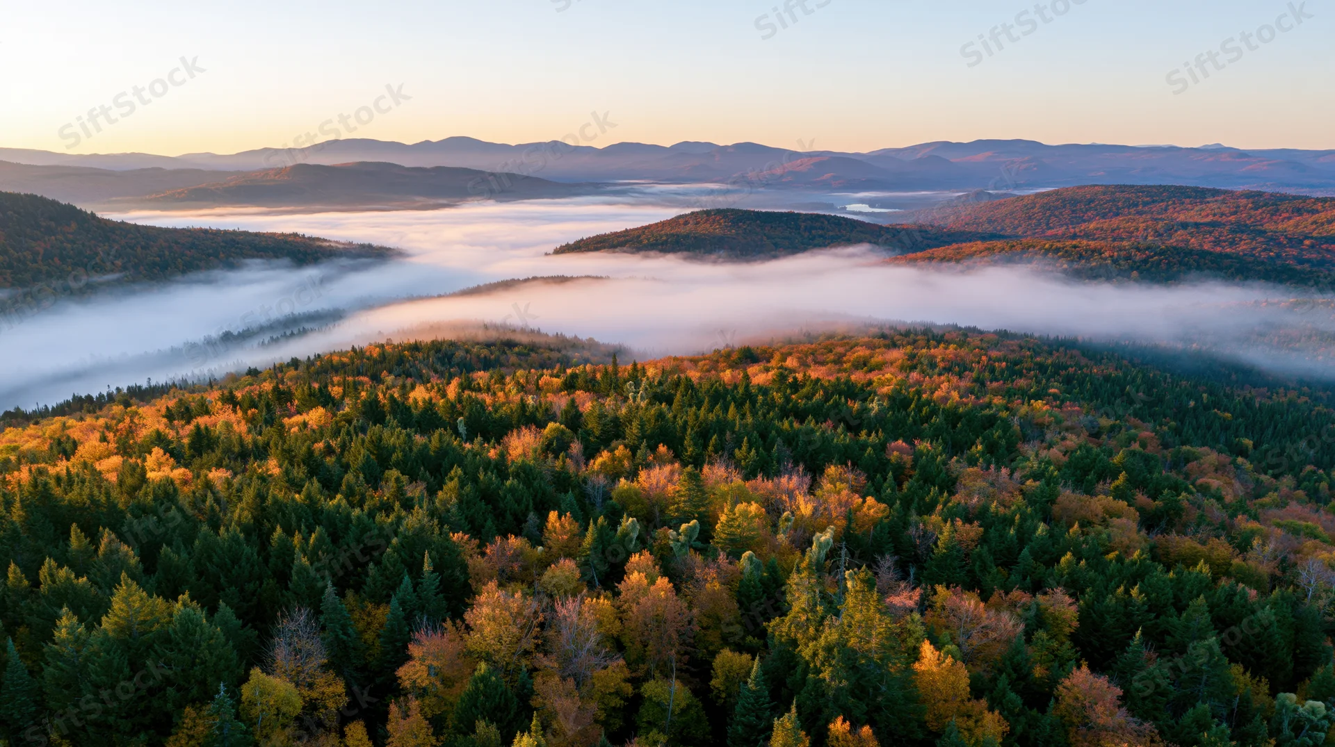Aerial view of autumn forest valley with fog at sunrise