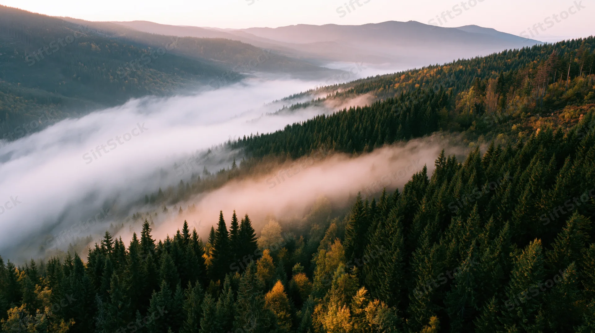 Aerial view of misty forested mountain valley at sunrise