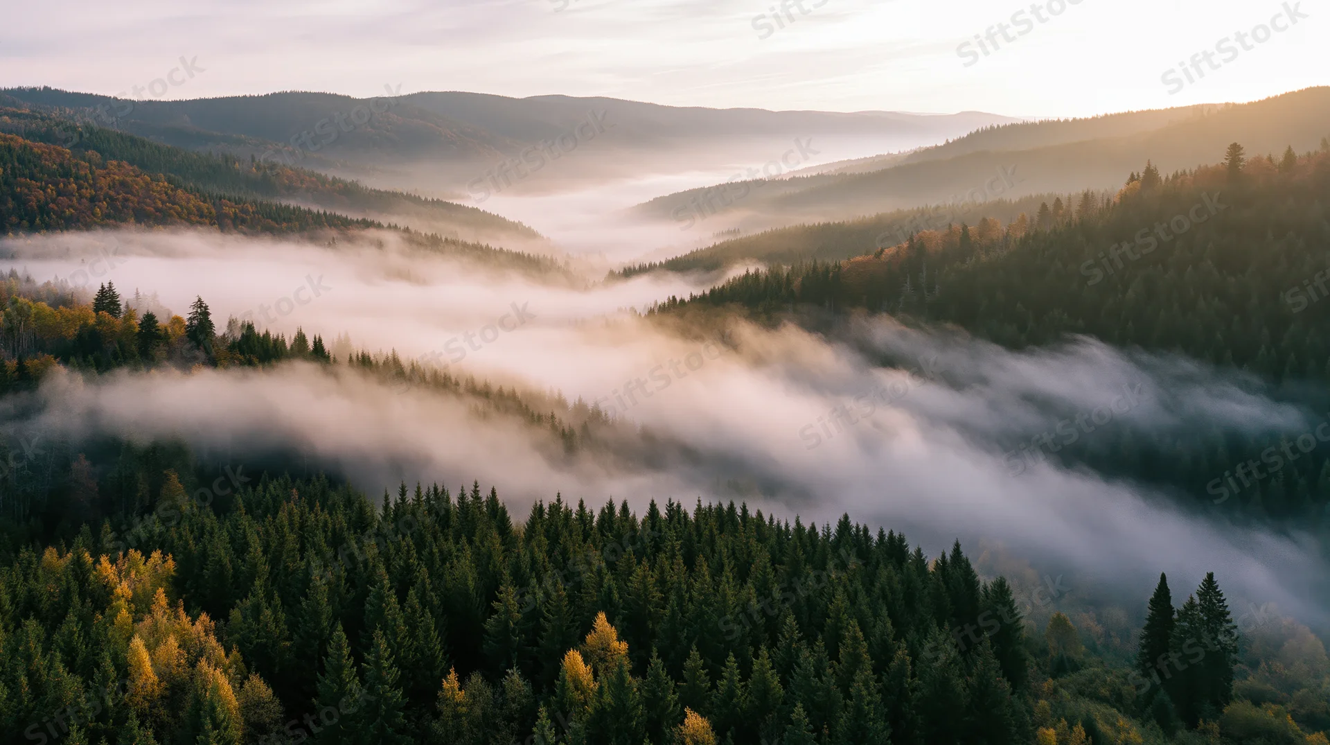 Aerial view of misty forested mountain valley at sunrise