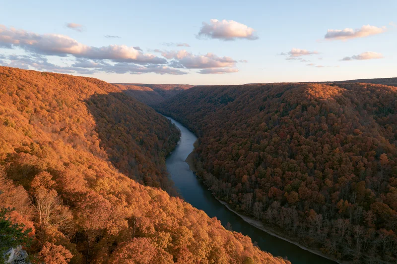 Aerial view of a river winding through a dense autumn forest valley
