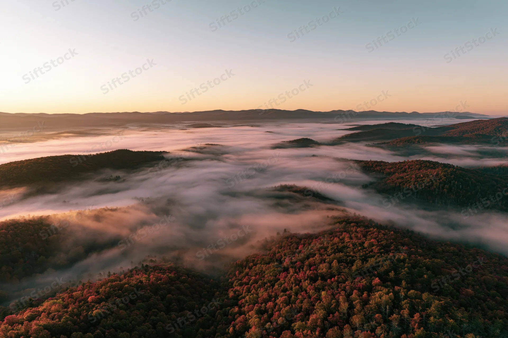 Aerial view of autumn forest valley filled with fog at sunrise