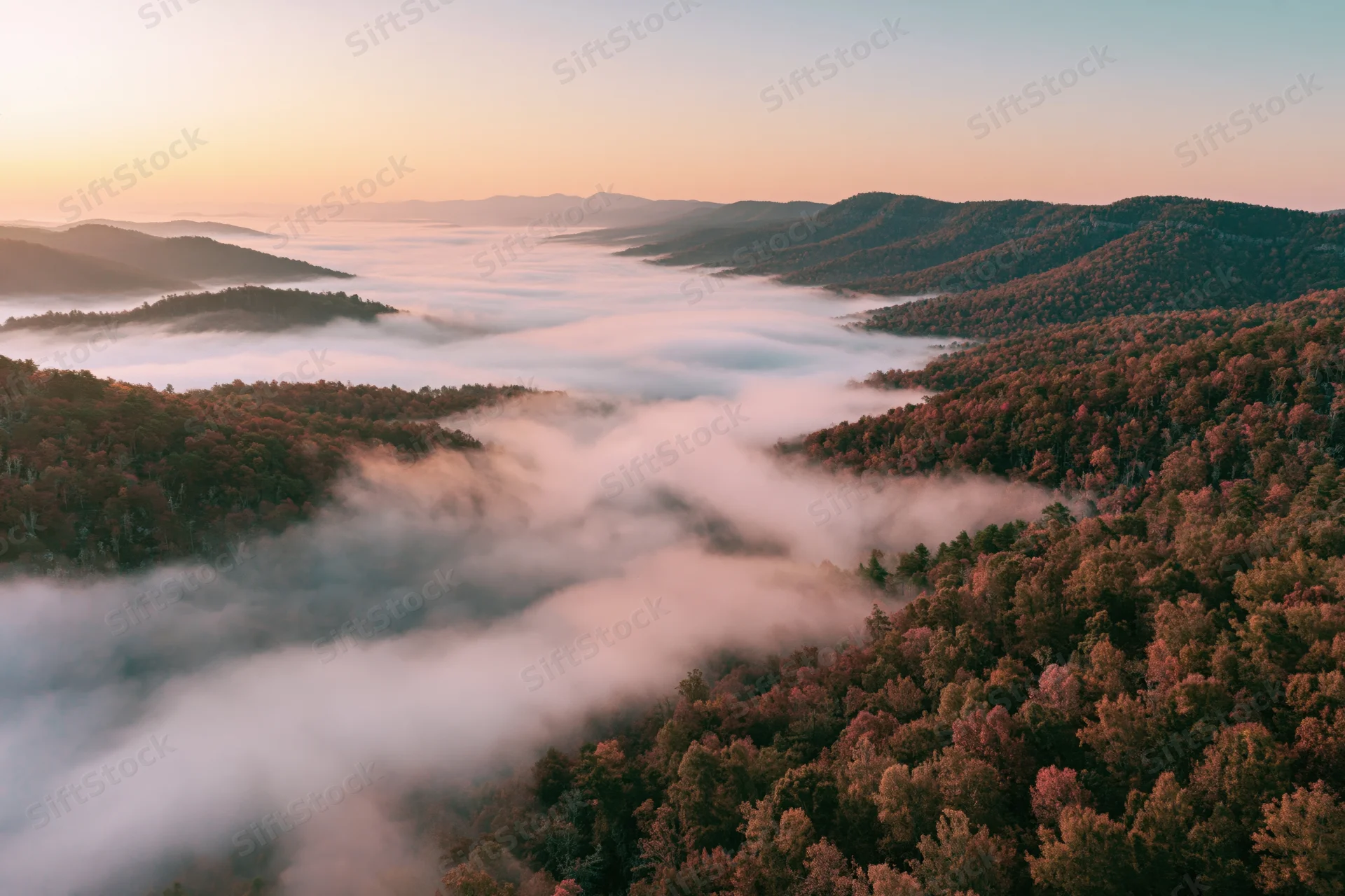 Aerial view of autumn forest valley filled with mist at sunrise