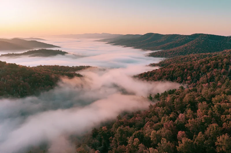 Aerial view of autumn forest valley filled with mist at sunrise