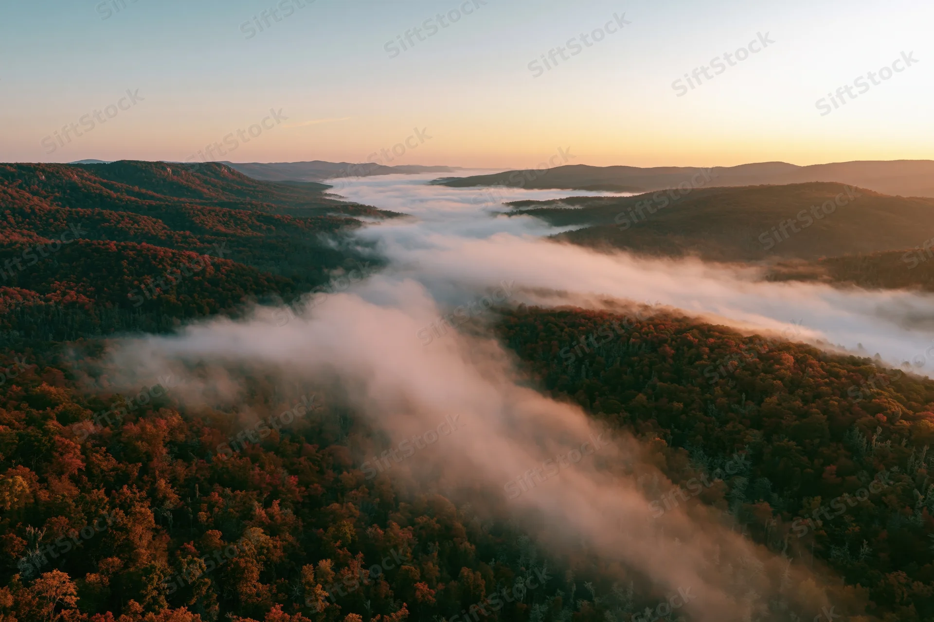Aerial view of autumn forest valley filled with mist at sunrise