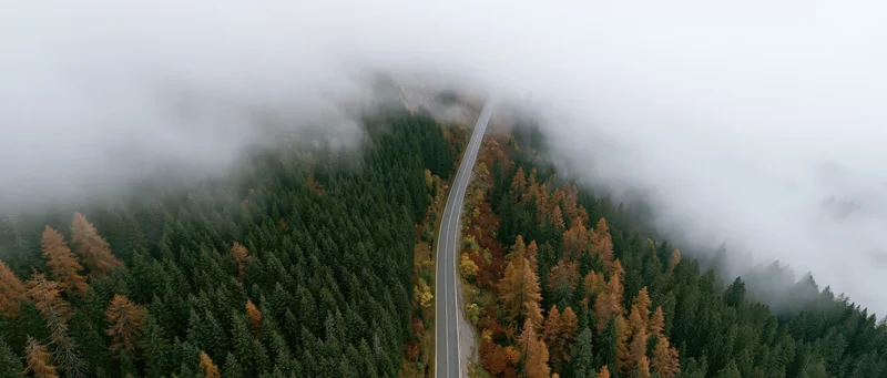 Aerial view of a winding road through a fog-covered forest in autumn