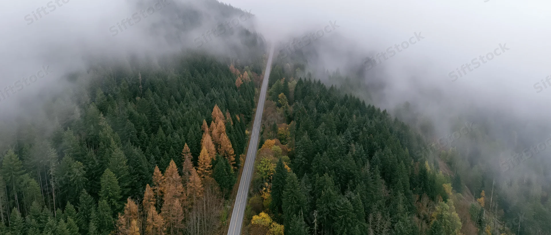 Aerial view of a narrow two-lane road cutting through a fog-covered forested mountain valley in autumn