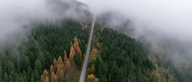 Aerial view of a narrow two-lane road cutting through a fog-covered forested mountain valley in autumn