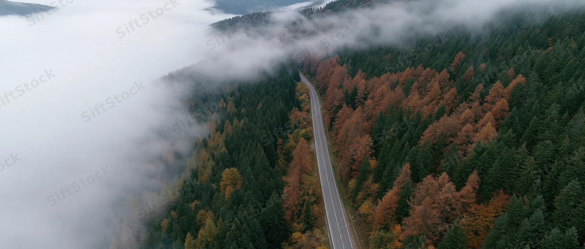 Aerial view of a narrow two-lane road winding through a dense forest with autumn foliage and fog covering the valley below