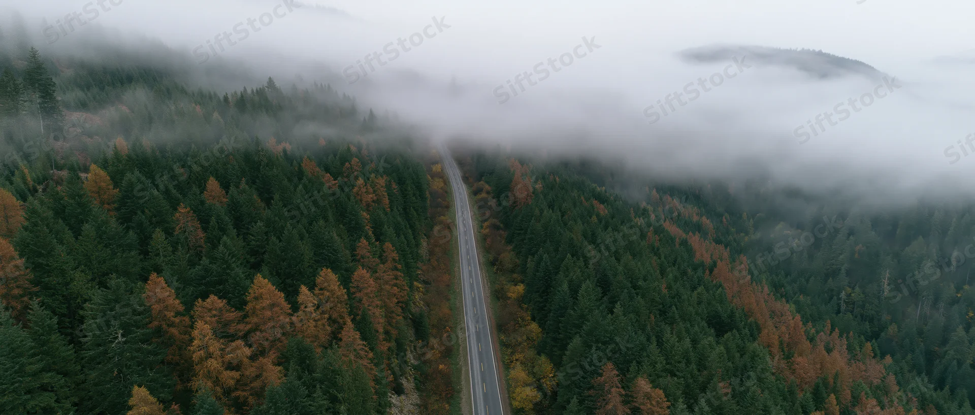 Aerial view of a narrow two-lane road cutting through a dense forest in autumn fog