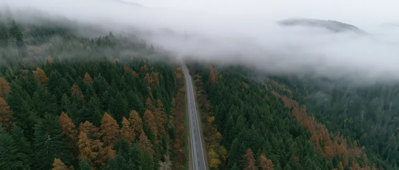 Aerial view of a narrow two-lane road cutting through a dense forest in autumn fog