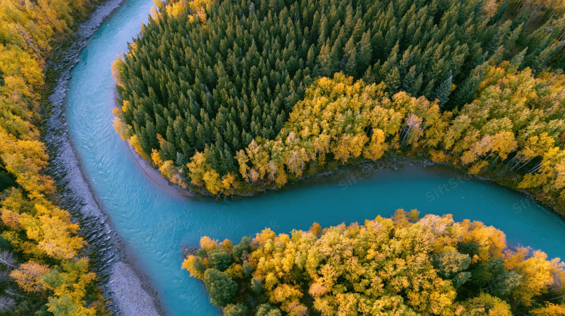 Aerial view of a winding turquoise river curving through autumn forest with yellow and green trees