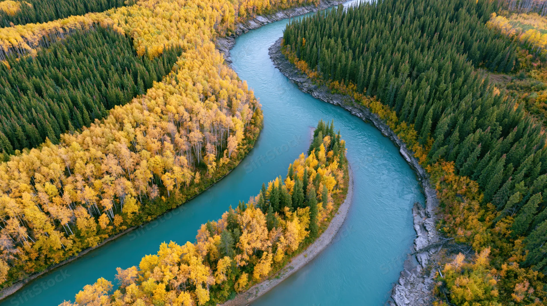 Aerial view of a winding turquoise river curving through autumn forested valley