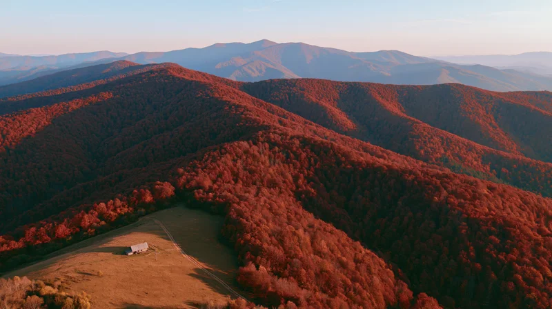 Aerial view of rolling carpathian hills covered in red autumn foliage with a small barn in a meadow below