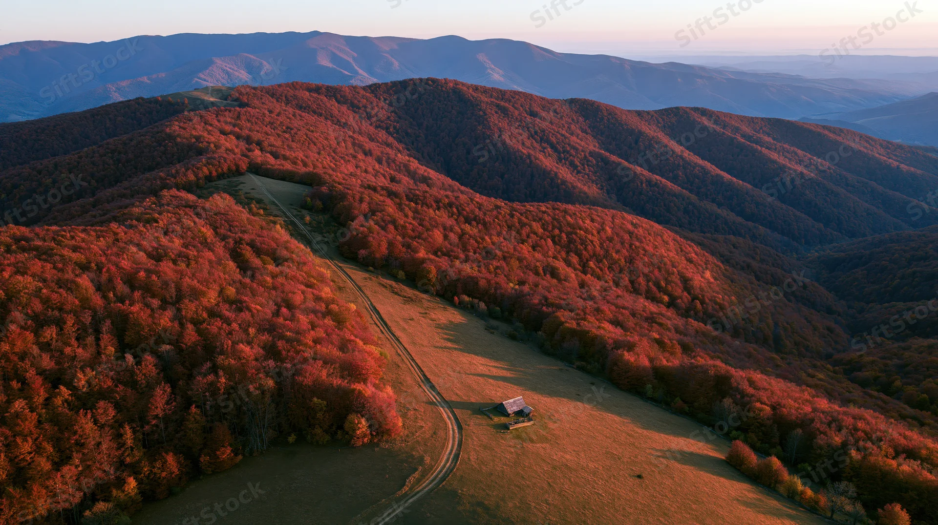 Aerial view of rolling carpathian hills covered in autumn foliage with a winding path and small cabin in a meadow