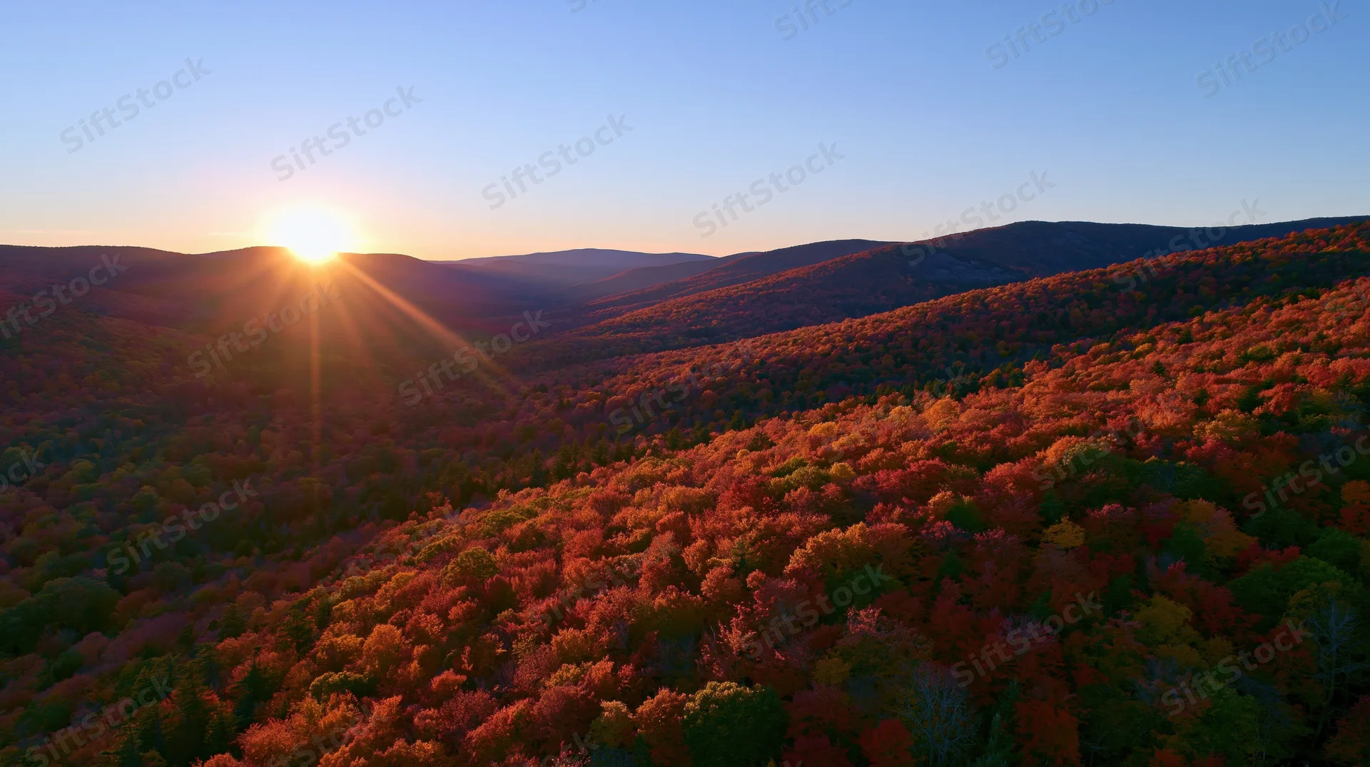 Aerial view of dense forested hills at sunset during autumn