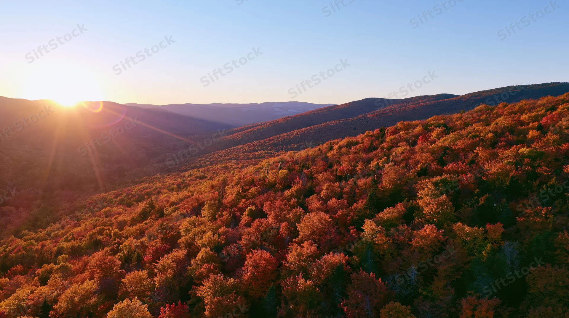 Aerial view of dense forest on rolling hills at sunset with autumn foliage