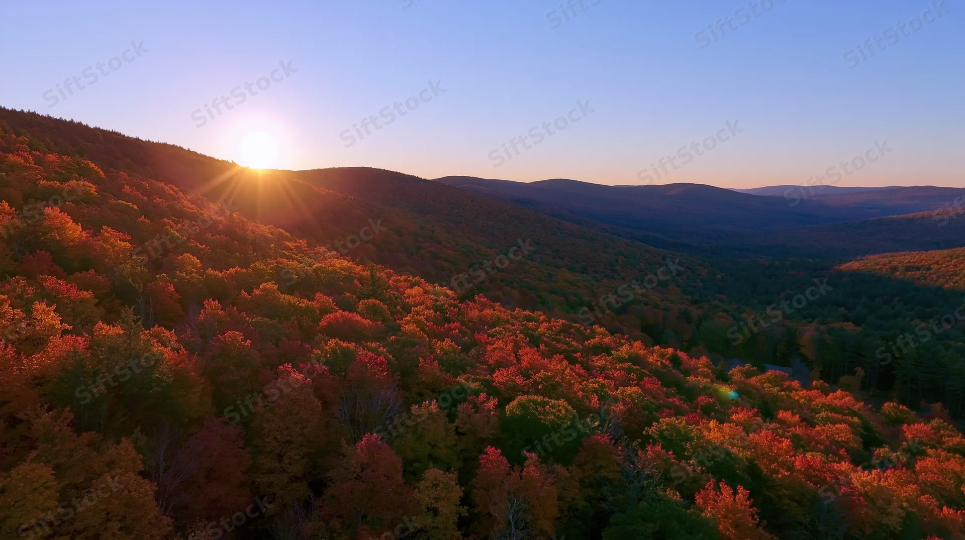 Aerial view of autumn forest on rolling hills at sunset