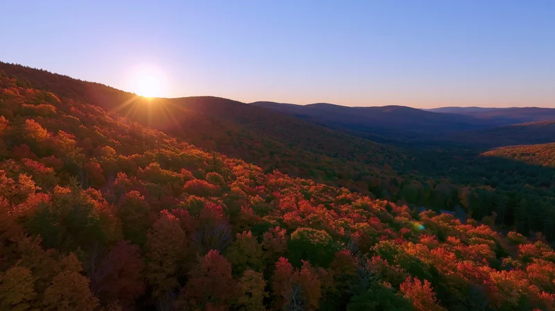 Aerial view of autumn forest on rolling hills at sunset