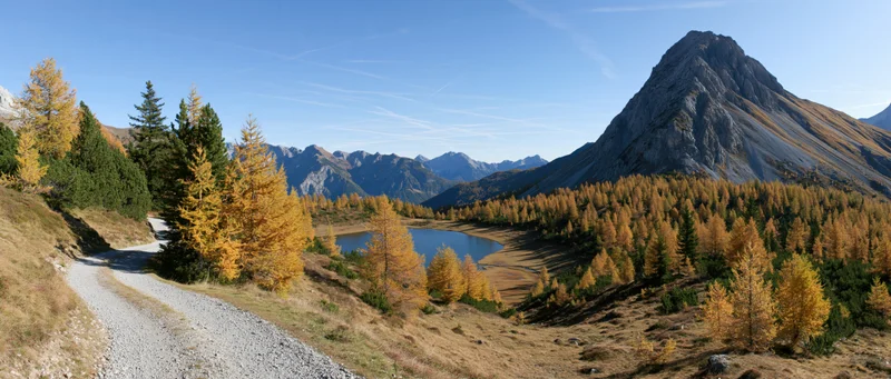 Winding gravel path through alpine autumn landscape with golden larch trees and mountain lake