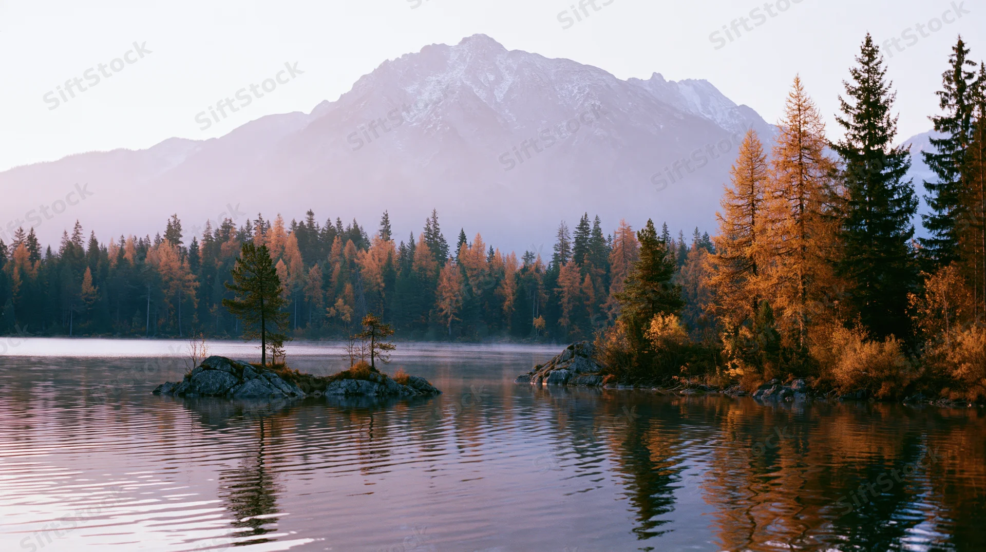 Alpine lake at dawn with still water reflecting golden autumn trees and distant snow-capped mountains
