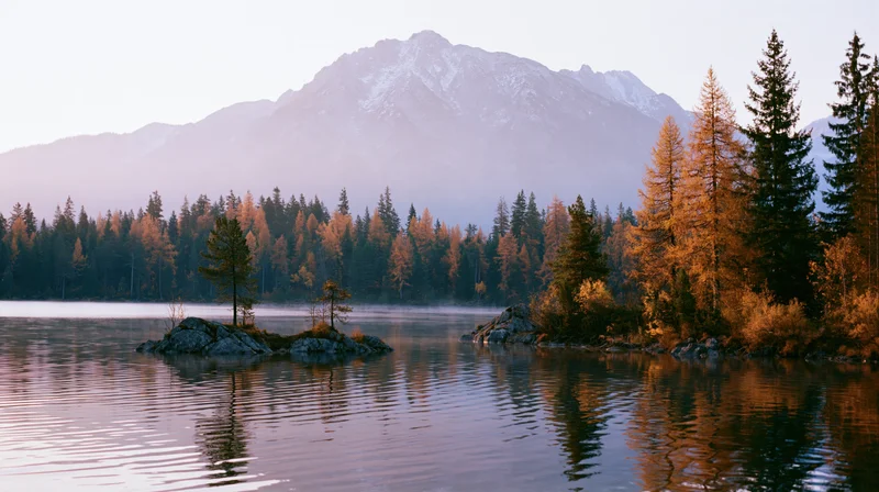 Alpine lake at dawn with still water reflecting golden autumn trees and distant snow-capped mountains