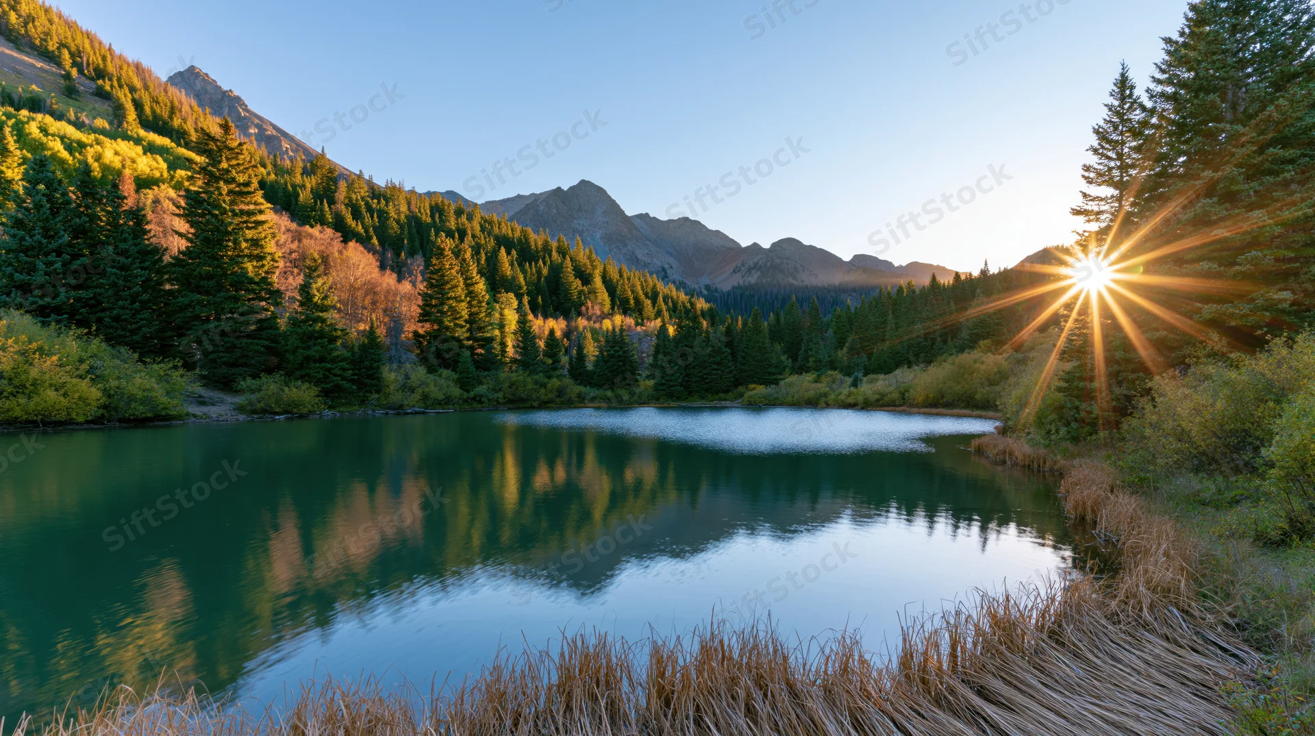 Alpine lake reflecting mountains and trees at sunrise in a forested valley