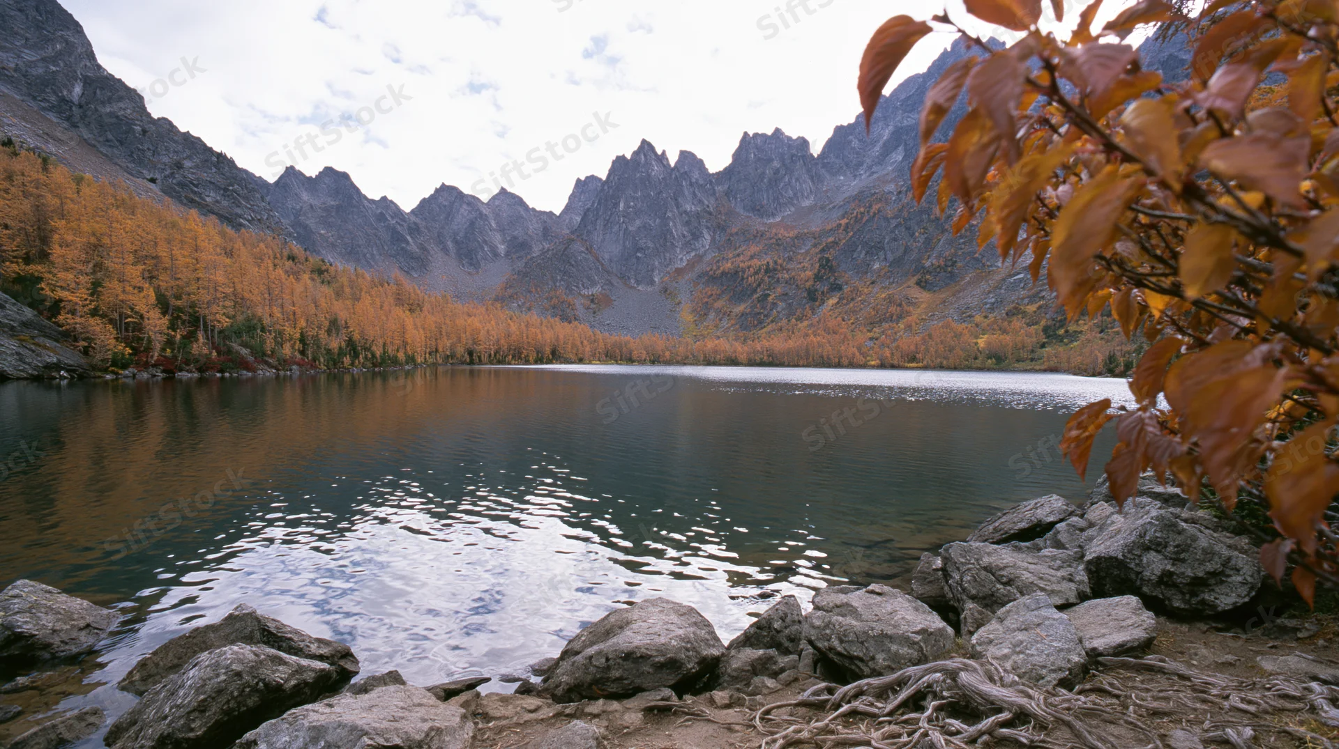 Alpine lake reflecting jagged rocky peaks surrounded by autumn forest and stones along the shore