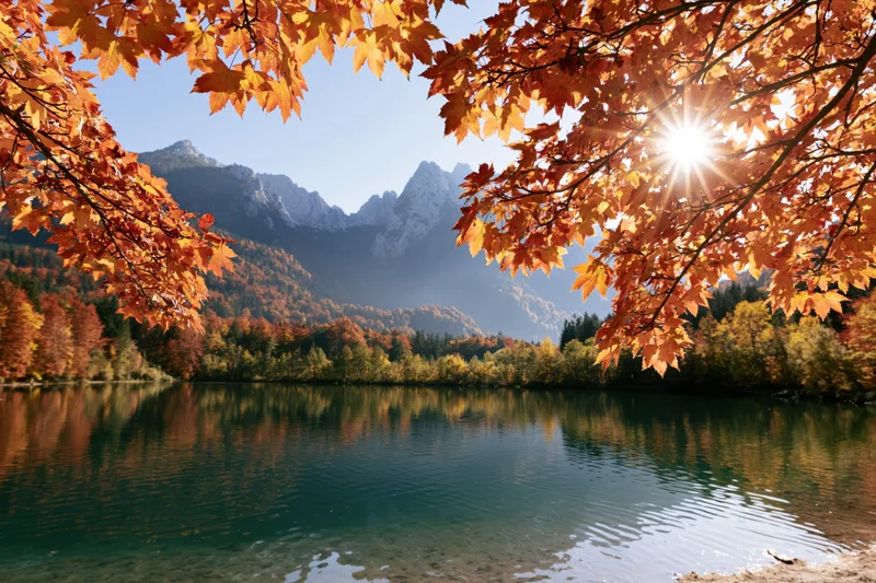 Autumn foliage framing a calm alpine lake reflecting mountains and forest under sunlight
