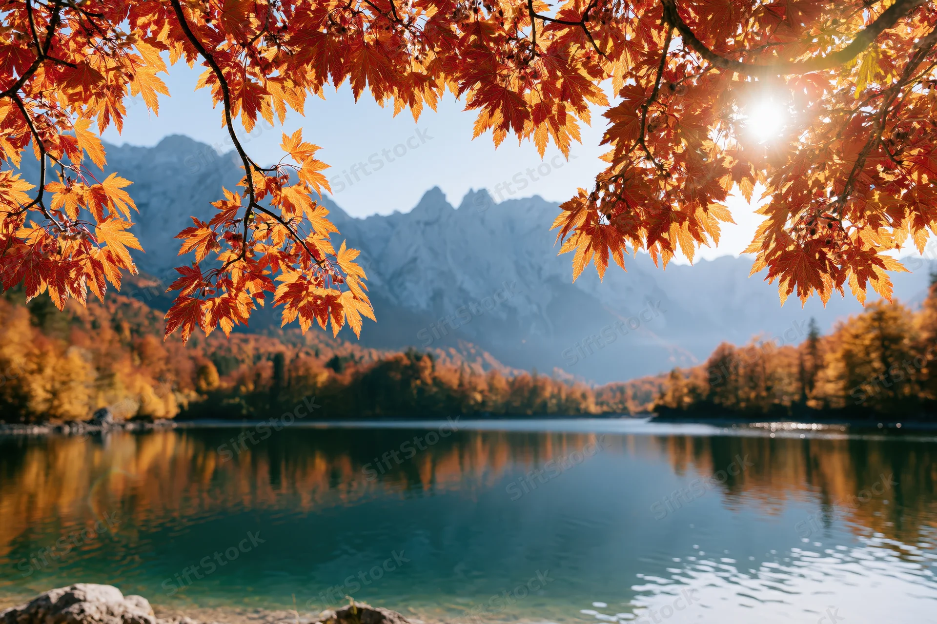 Autumn maple branches framing a calm alpine lake reflecting mountains and forest