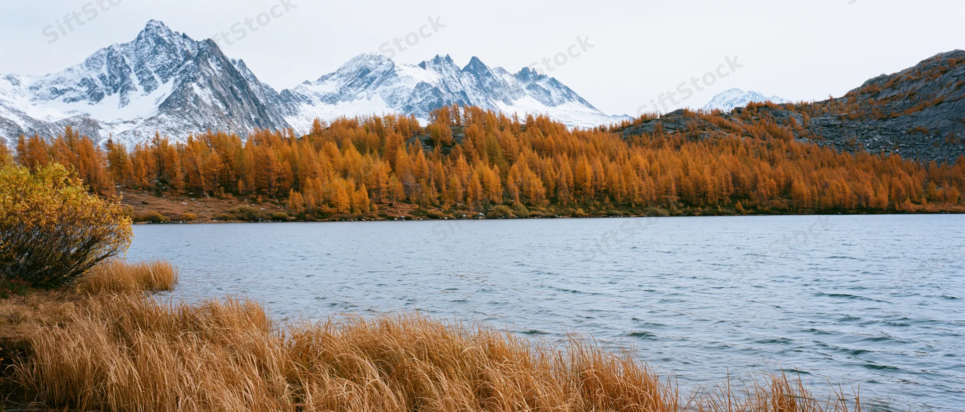 Alpine lake shoreline in autumn panoramic landscape with snow-capped mountains and golden forest reflecting in calm water