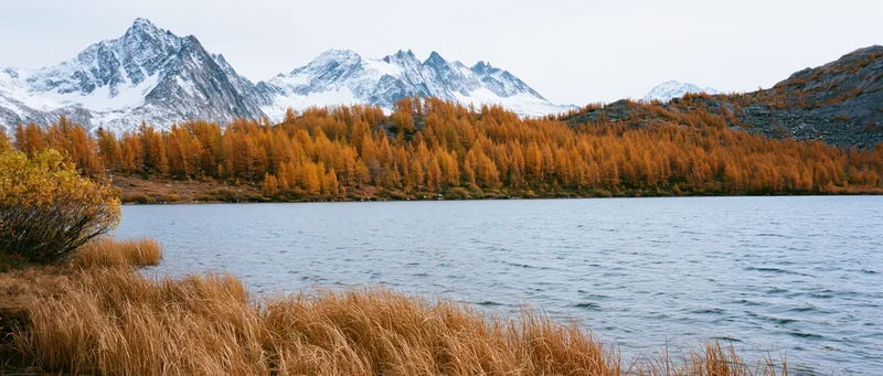 Alpine lake shoreline in autumn panoramic landscape with snow-capped mountains and golden forest reflecting in calm water