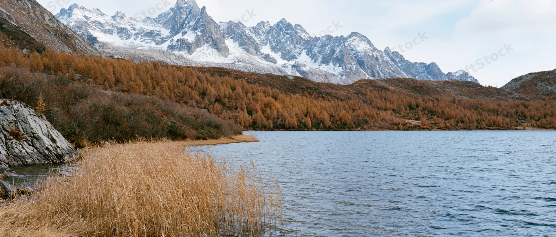 Alpine lake shoreline in autumn panoramic landscape with snow-capped mountains and golden larch forest
