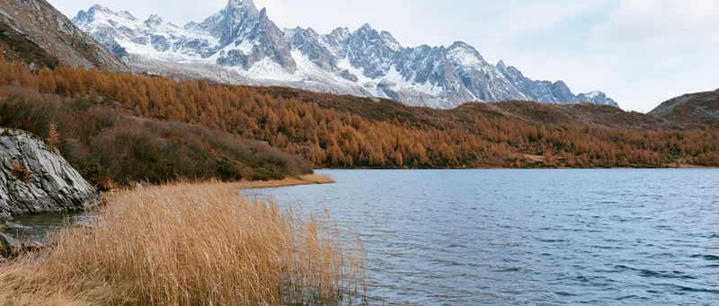 Alpine lake shoreline in autumn panoramic landscape with snow-capped mountains and golden larch forest