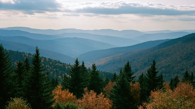 Layered mountain ridgelines covered in autumn forest viewed from a high vantage point
