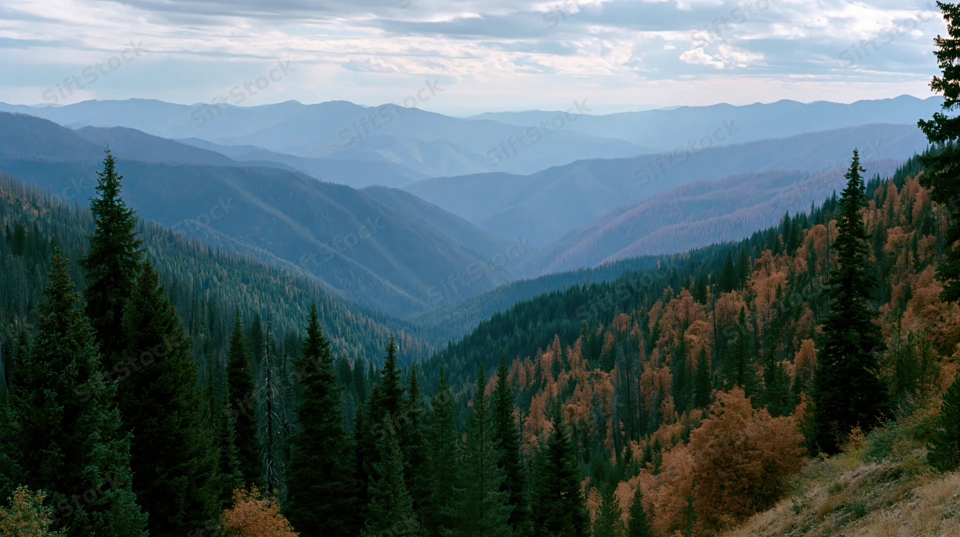 Layered mountain ridges receding into distance through autumn forest valley