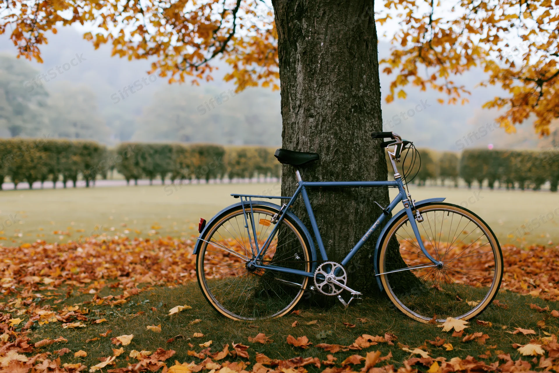Vintage blue bicycle leaning against a thick tree trunk in an autumn park