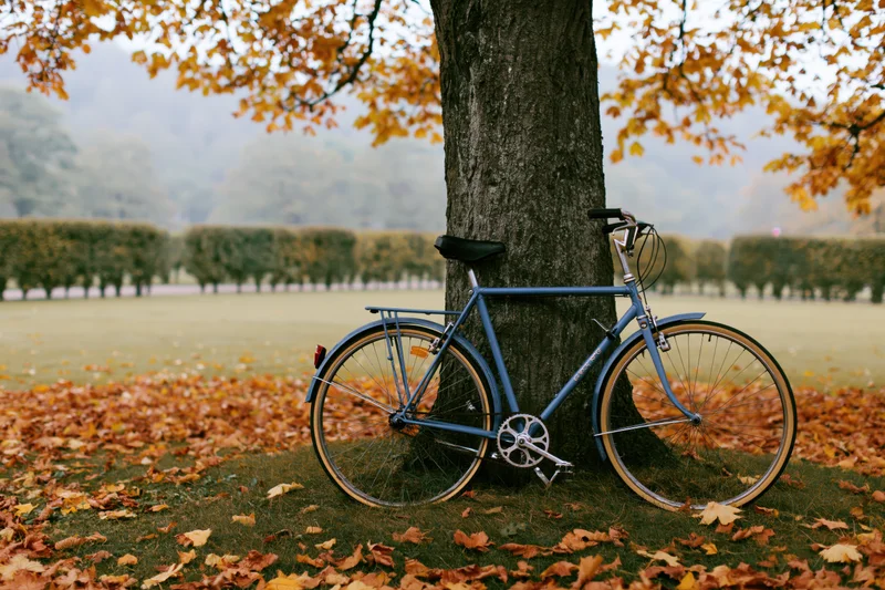 Vintage blue bicycle leaning against a thick tree trunk in an autumn park