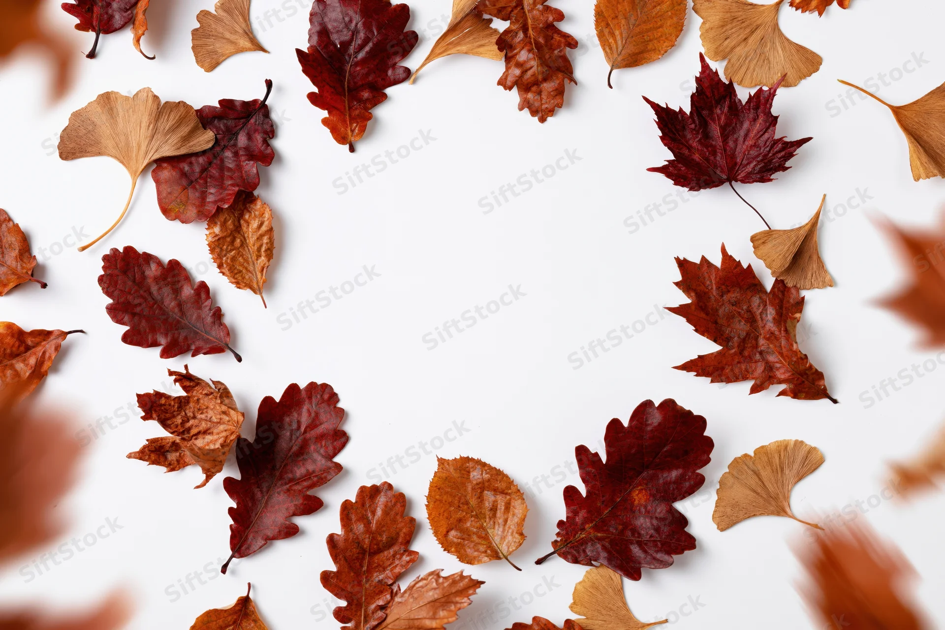 Dried autumn leaves arranged in a circular frame on white background with central copyspace