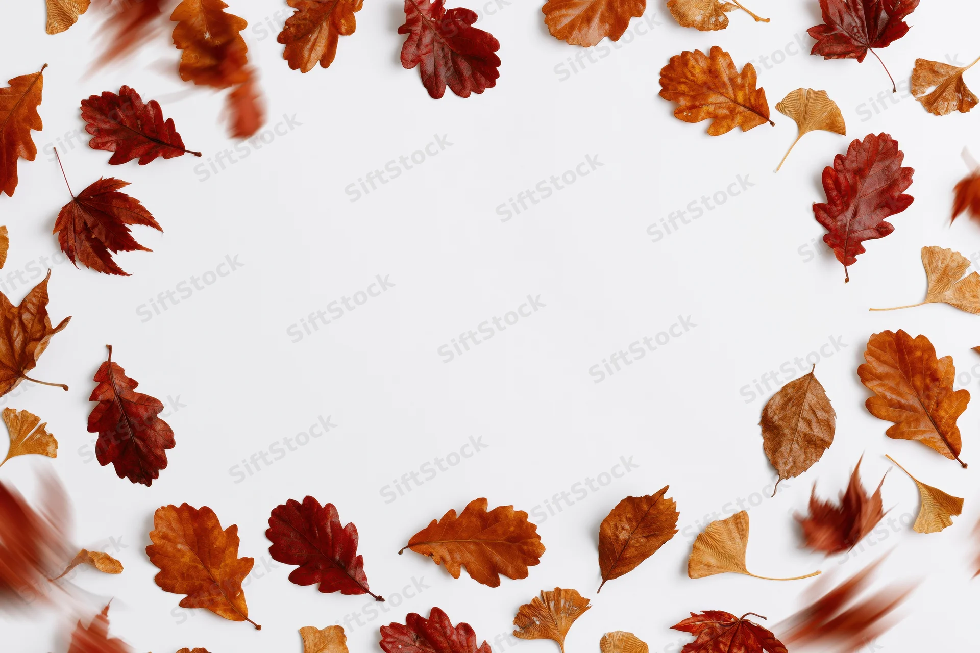 Autumn leaves scattered in motion around a white background with copyspace